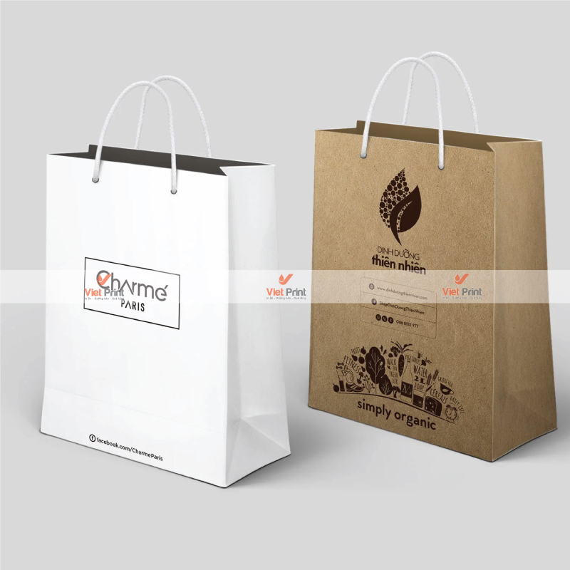 Túi Giấy In Logo – Quảng Bá Chuyên Nghiệp